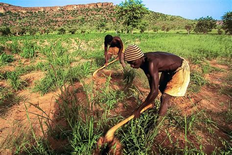 Rural Poverty in Sub-Saharan Africa