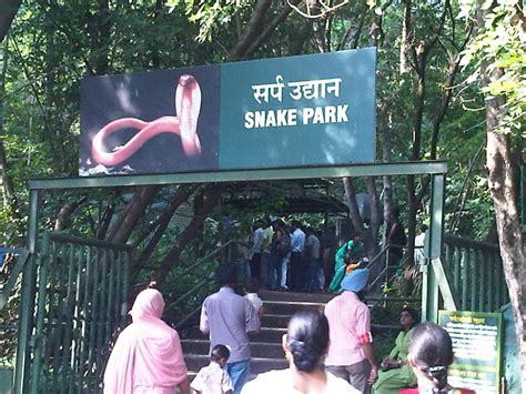 Best Time To Visit Katraj Snake Park (Pune) In 2024 - 2025