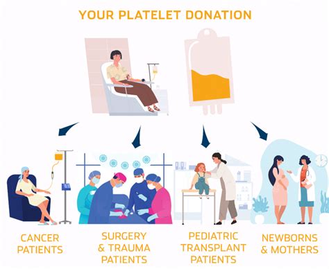 What is a Platelet Donation? - We Are Blood