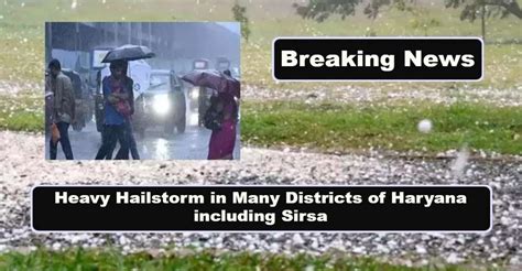 Haryana Weather Alert: Heavy Hailstorm in Many Districts of Haryana ...