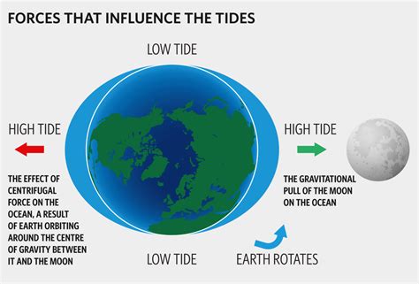 Tides Earth Science