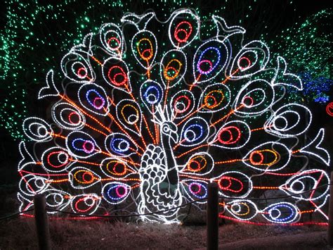 Denver Zoo Lights Illuminates the Imagination - Nomad Colorado | Zoo ...