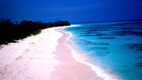 Pink Sand Beach Harbour Island Eleuthera Bahamas - Pink Choices