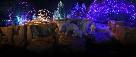 Toledo Zoo Lights Before Christmas