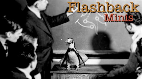 Flashback Minis: The History of YSU's Penguin Mascot - YouTube