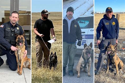 Meet the Four-Legged Heroes of the Cheyenne Police Department