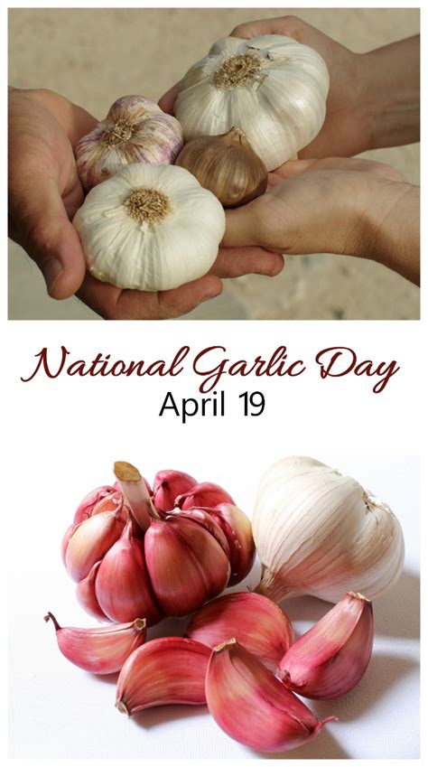 National Garlic Day - April 19 - Activities, Recipes and Growing Tips