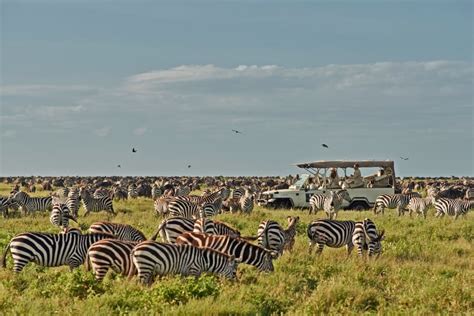 Luxury Serengeti Safari