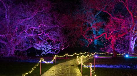 Christmas lights and events at Blickling | National Trust