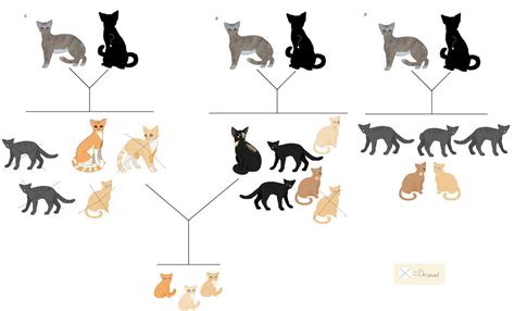 My Cats' Family Tree by ShinySmeargul on DeviantArt