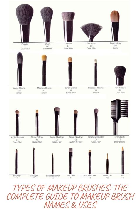 TYPES OF MAKEUP BRUSHES: THE COMPLETE GUIDE TO MAKEUP BRUSH NAMES ...