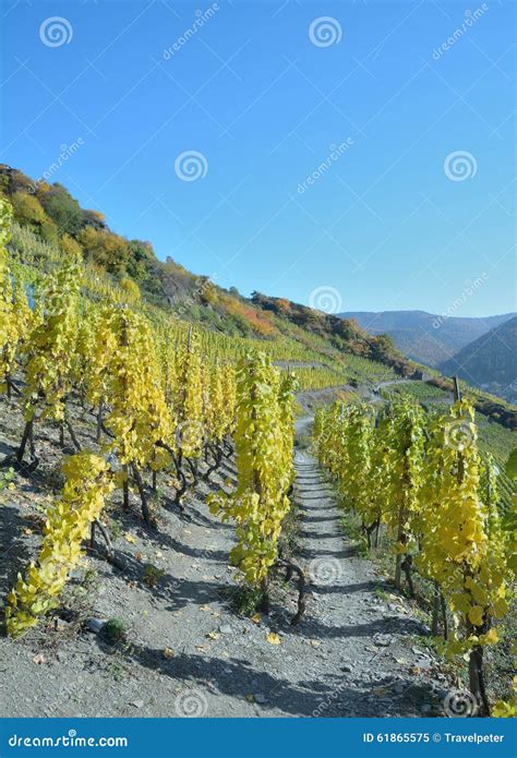 Red Wine Hiking Trail,Ahr,Rhineland-Palatinate,Germany Stock Image ...