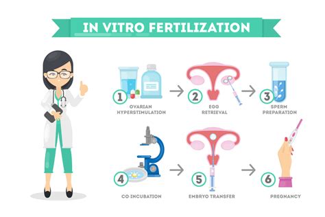 Find Out Everything You Need to Know About IVF Treatment