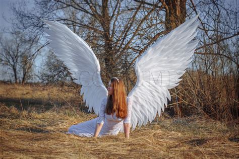 Buy realistic large angel wings costume "White angel"