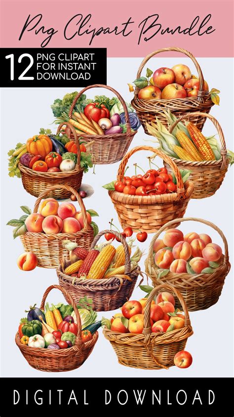 Fall Harvest Clipart Bundle, Watercolor Autumn Clipart PNG