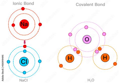 Covalent Bond Examples