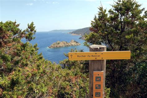 Port Cros National Park: diving in the first marine park in Europe