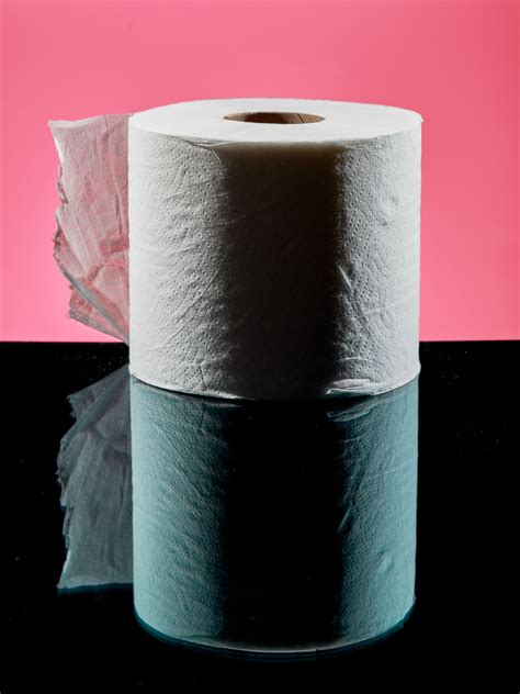 What did people do before toilet paper?