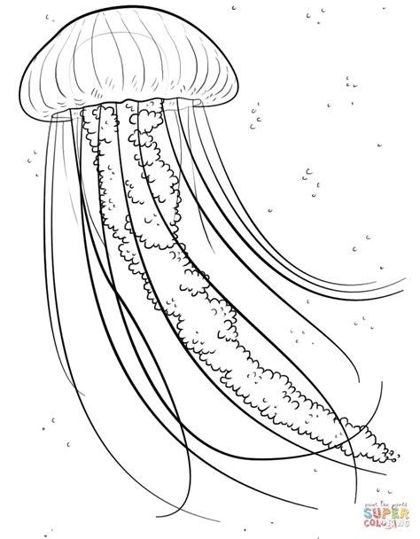 Jelly fish coloring page from Jellyfish category. Select from 27002 printable crafts of cartoons ...