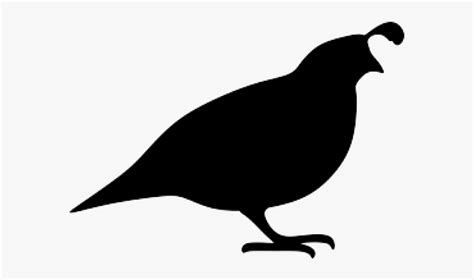 Quail Silhouette , Free Transparent Clipart - ClipartKey