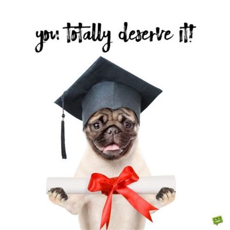 You Totally Deserve This! | 100 Graduation Wishes | Happy graduation quotes, Happy graduation ...