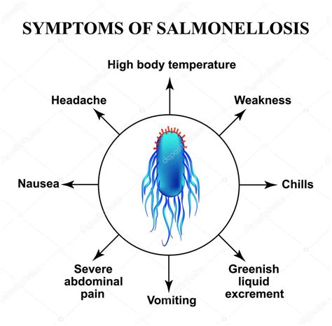 Symptoms of salmonellosis. The structure of salmonella. Infographics ...