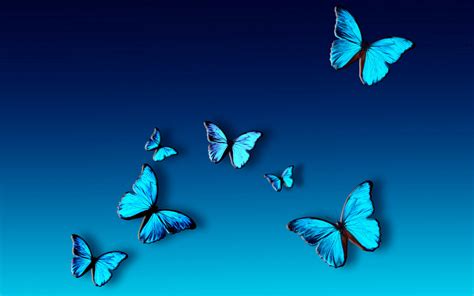 butterfly hd wallpaper for laptop - Clip Art Library