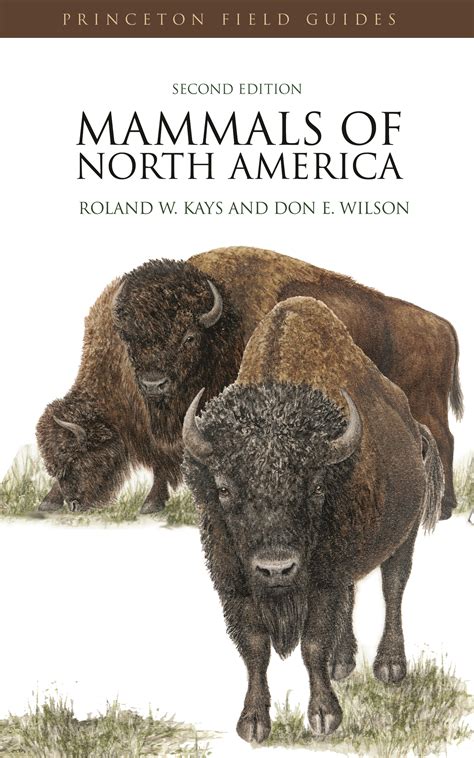 Mammals of North America | Princeton University Press