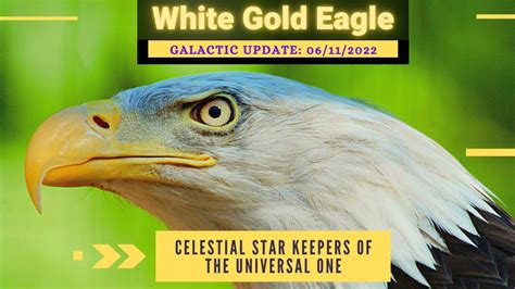 White Gold Eagle (Galactic Update) 06/11/2022 ~ Celestial Star Keepers of the Universal One ...