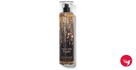 Into The Night Bath and Body Works perfume - a fragrance for women 2019