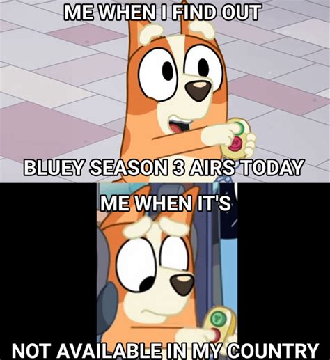 How to watch Bluey Season 3 : r/bluey