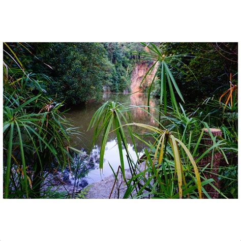 Evening at Bukit Batok Nature Park - Kasun Gamlath