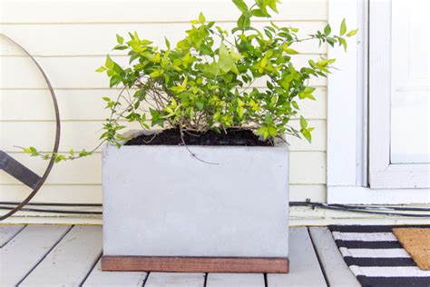 How to Make a DIY Concrete and Wood Planter - Make and Takes