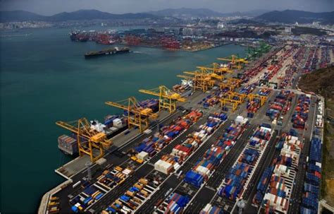 Felixstowe Dockers: Port Of Busan