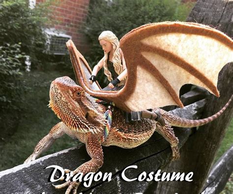 Easy Dragon Costume for Your Beardie!: Daenerys Stormborn of the House ...