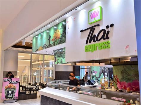 What Are the Vegan Options at Thai Express? - I Am Going Vegan