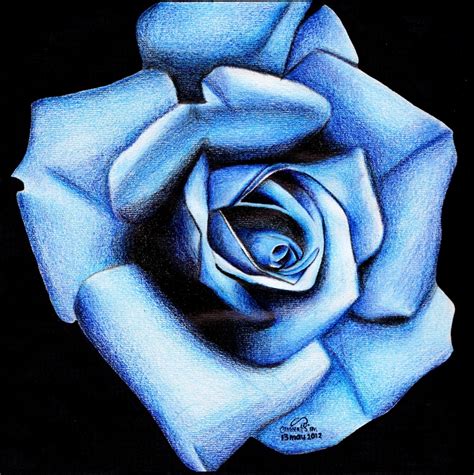 Blue Rose Drawing at GetDrawings | Free download