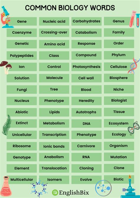 150+ Biology Vocabulary Words List for Kids - EnglishBix