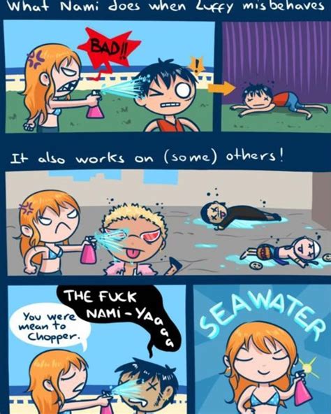 •At the end Nami will become the prate 👑 • | One piece funny, One piece ...