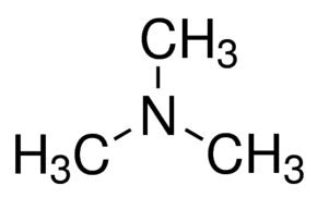 Trimethylamine anhydrous, = 99 75-50-3