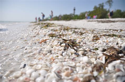 Sanibel | Kullez | Flickr