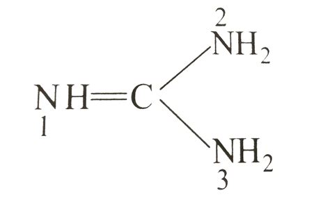 Which N of guanidine (I) is more basic and is more likely to be proton