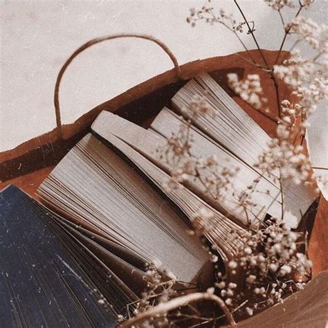 Pin de artzler em beige aesthetics | Fotos de livros, Melhores poses ...