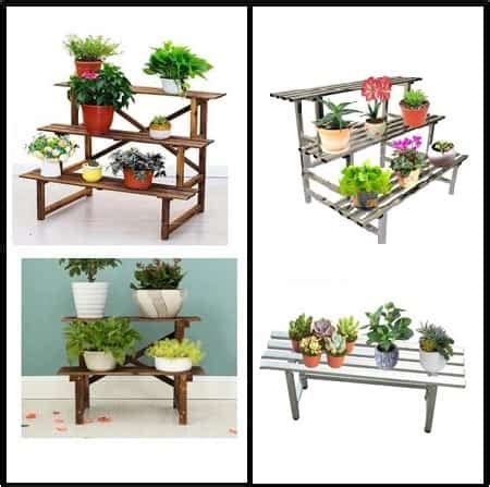 10 Best Orchid Plant Stands [Indoor & Outdoor]