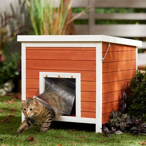 FRISCO Outdoor Wooden Cat House with Retractable Roof, Brown - Chewy.com