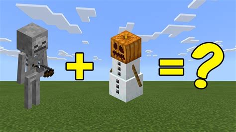 I Combined a Skeleton and a Snow Golem in Minecraft - Here's WHAT Happened... - YouTube