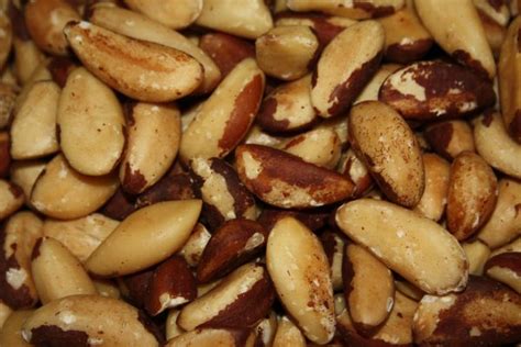 Brazil Nut Contains Selenium - Cananut