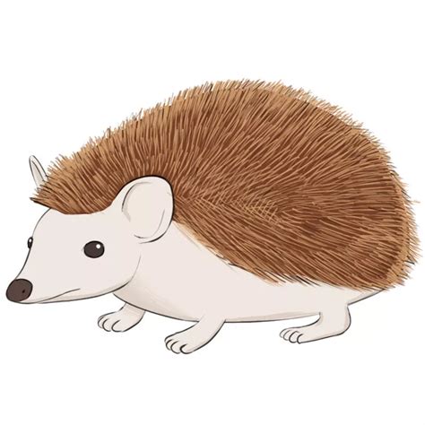 How to Draw a Hedgehog - Easy Drawing Art