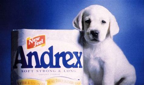 Andrex puppy voted Britain's favourite dog in new poll | UK | News | Express.co.uk