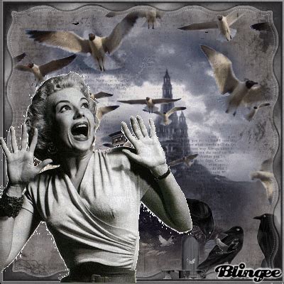 The Birds [Alfred Hitchcock's film] | The birds movie, The birds ...